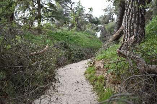 Barranco de Valdefuentes